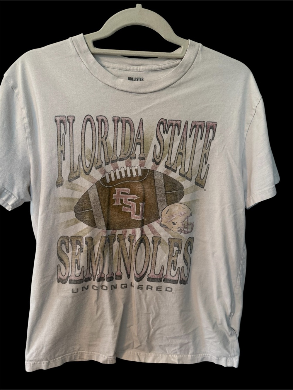 Hollister Light Blue Relaxed Fit Tee with Logo Print